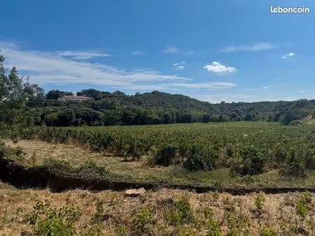 faugères : terrains viabilisés hors lotissement avec vue dégagée