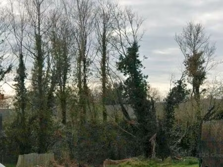 terrain constructible