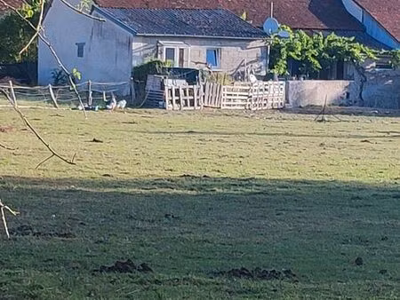 maison 90 m2 avec terrain de plus de 2 hectares