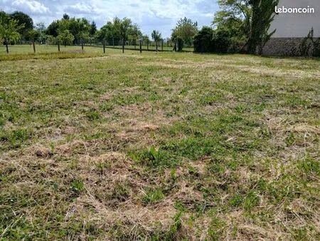 terrain constructible