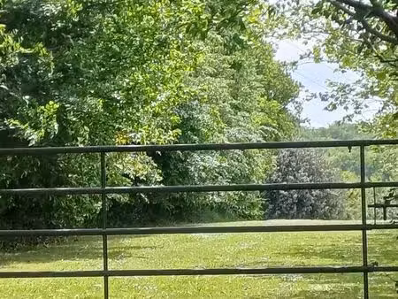 unique: superbe longère et grange 3 box dans son parc de 9 9ha