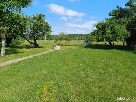 terrain constructible 815 m² – arboré  calme  proche amboise
