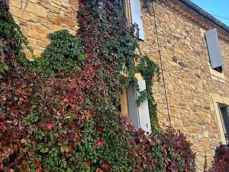 tres belle & spacieuse maison avec terrasse dans un village viticole animé