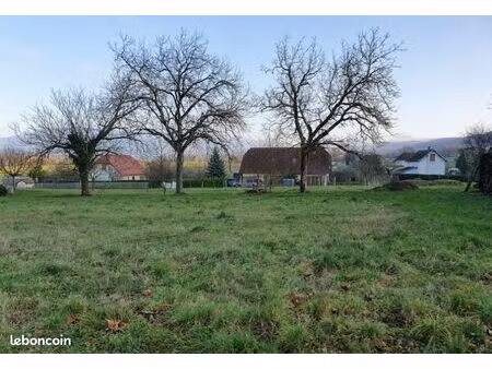 terrain constructible