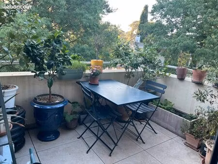 appartement t3 lumineux - aiguelongue  faculté paul valéry