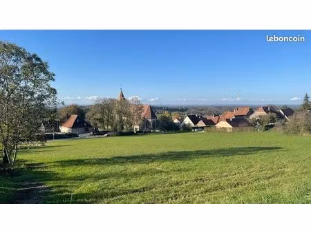terrain 1003m2 menotey