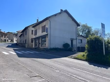 à vendre maison + local commercial