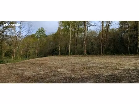 terrain gourbera 40990 dans les landes 1056 m2 116 000 euros