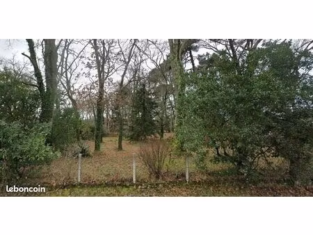 terrain 376 m² parentis en born