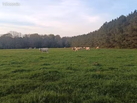 magnifique terrain constructible 900 m2