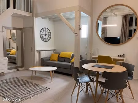 appartement meublé 2 pièce 40m2 avec parking et cave  hyper centre tours