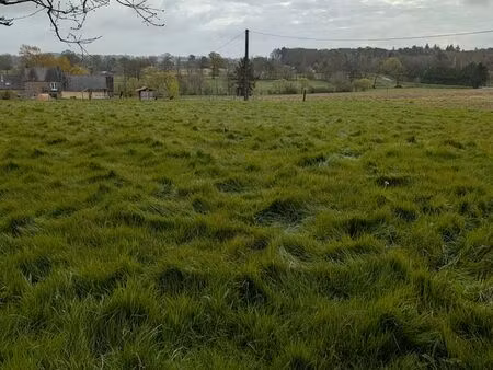 terrain pour pâturage