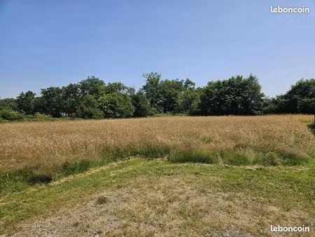 terrain 800 m² feurs