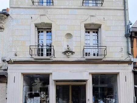 local 196 m² chinon