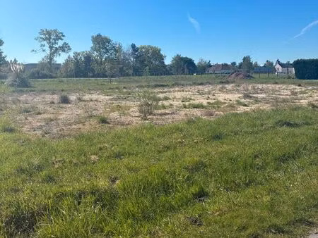 terrain constructible