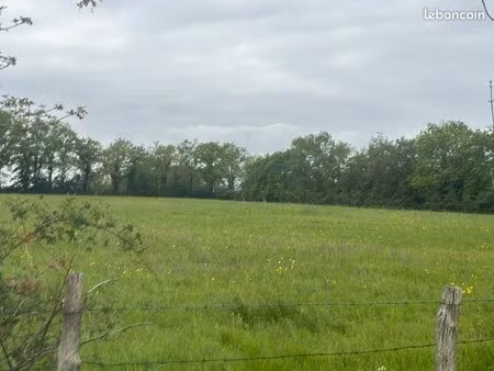 prairie de 2 5 hectares avec point d’eau