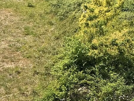 terrain de loisirs saint nazaire