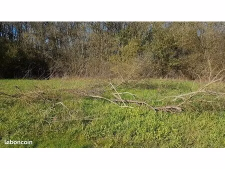 terrain de loisir marais 4900m2 bordé par le tenu et l acheneau port st père   st leger le