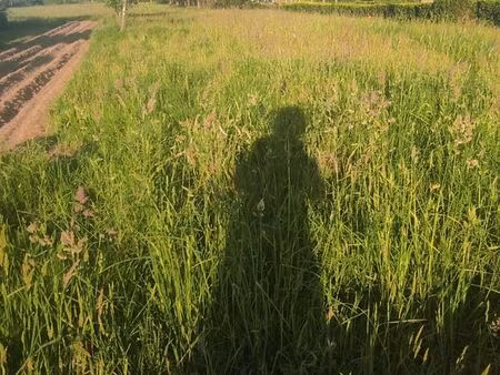 terrain constructible