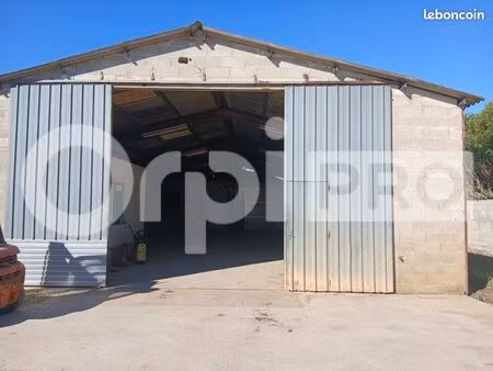 local d'activité 250 m²