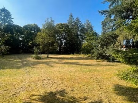 terrain constructible