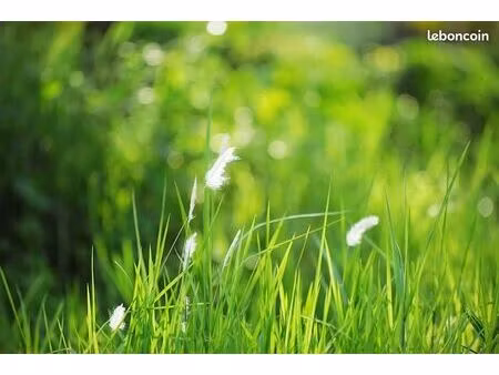 terrain 344 m² suce sur erdre