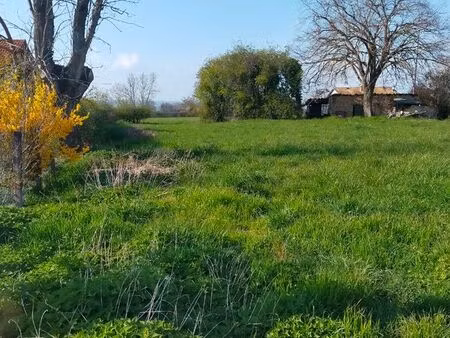 terrain constructible