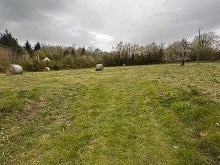 terrain constructible