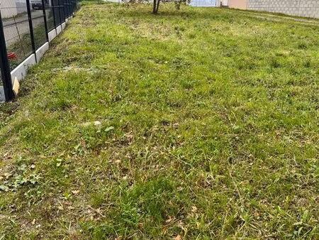 terrain libre de constructeur