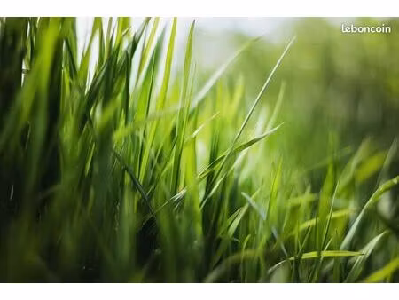 terrain 344 m² treillieres