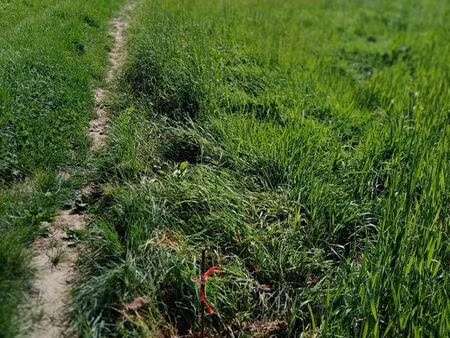 terrains agricoles