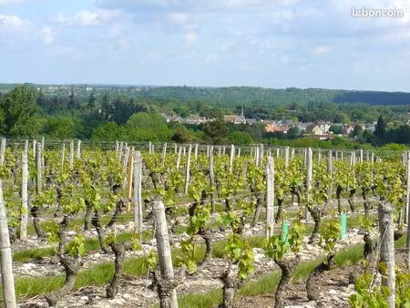 domaine viticole - val-de-loire