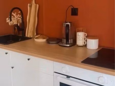 location appartement type loft domène