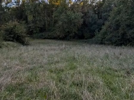 terrain 2 840 m² colayrac saint cirq