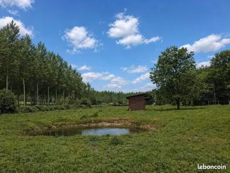 terrain agricole (idéal chevaux/moutons)