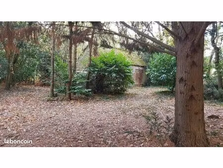 terrain boisé 2ha rives du loir en anjou/ villevêque 49140