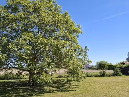 terrain 747 m² artannes sur thouet