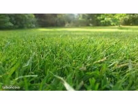 terrain 441 m² bauge en anjou