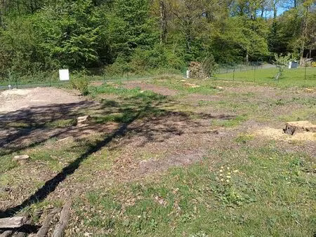 terrain constructible