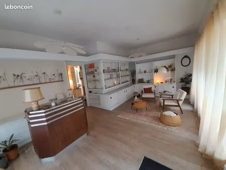 immeuble appartements + local