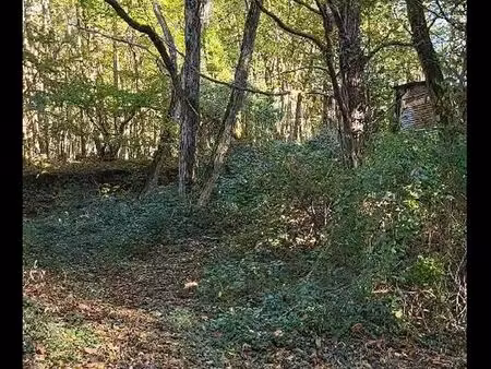 ? location terrain boisé avec cabane – chevannes (45210) ?