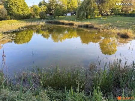 terrain 7248 m² le lion-d'angers