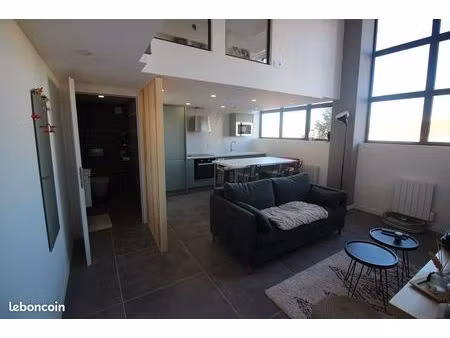 t2 loft industriel 50m2