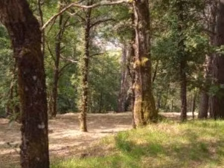 terrain à bâtir