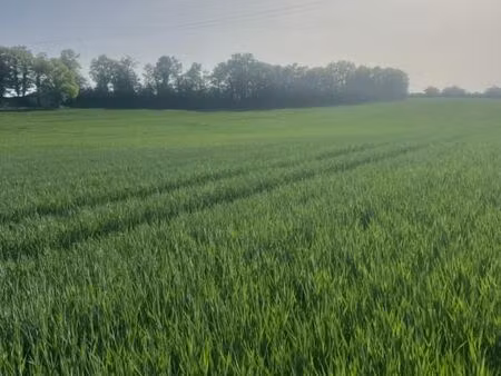 terrain 2 140 m² castelnau montratier