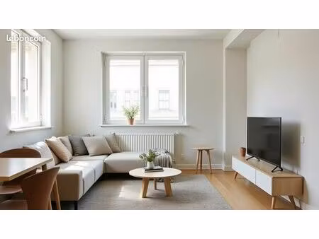 appartement 3 pièces 55 m²