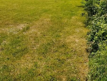 terrain constructible