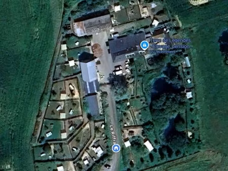 pension canine & féline en activité ? ? + grande maison ?