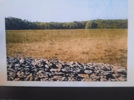 terrain a batir serignac 46700