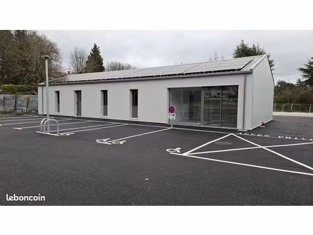 locaux commerciaux pradines